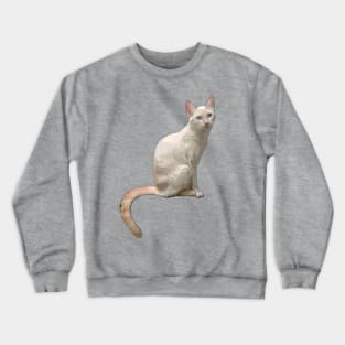 Flame Point Cat Blep Crewneck Sweatshirt